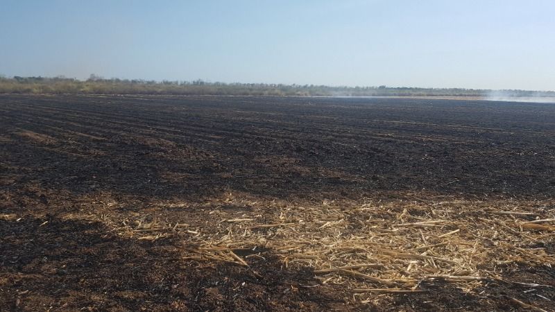 Autoridades recuerdan que las quemas agropecuarias están prohibidas Autoridades recuerdan que las quemas agropecuarias están prohibidas