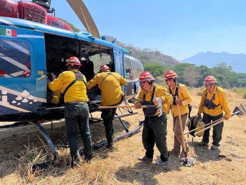Propondrán medidas penales contra quienes causen incendios Propondrán medidas penales contra quienes causen incendios