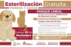 Este jueves habrá jornada de esterilización gratuita en el Parque Lineal