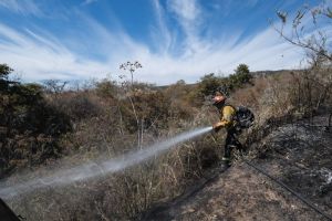 Extinguido incendio forestal en Bosque La Primavera