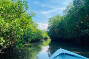 Estuario El Salado reabrirá acceso al público