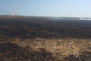 Autoridades recuerdan que las quemas agropecuarias están prohibidas